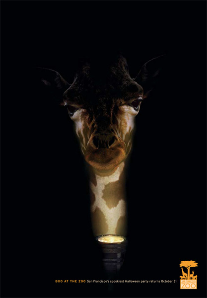 [12-SF-zoo-giraffe.jpg]