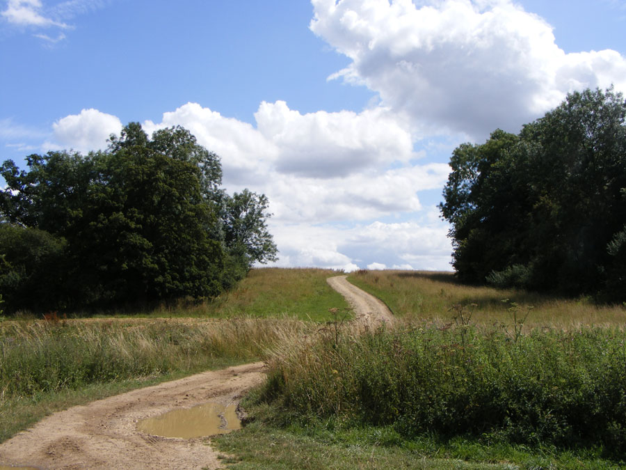 [winding-path.jpg]