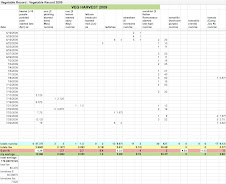 Vegetable Harvest and Notes 2010