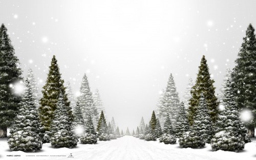 Backgrounds: Natural Christmas Background, Natural Christmas Backgrounds