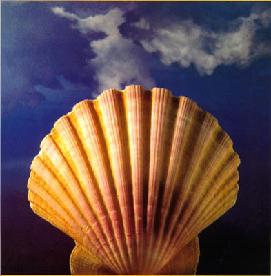 http://1.bp.blogspot.com/_X3tl0WEbTSo/ScNjs1RgjYI/AAAAAAAABsM/mqwniRH3kgQ/s400/camino+santiago.jpg