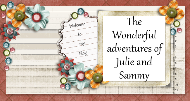 the wonderful adventures of Julie and Sammy