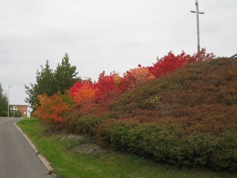 [IMG_0030-728976.JPG]