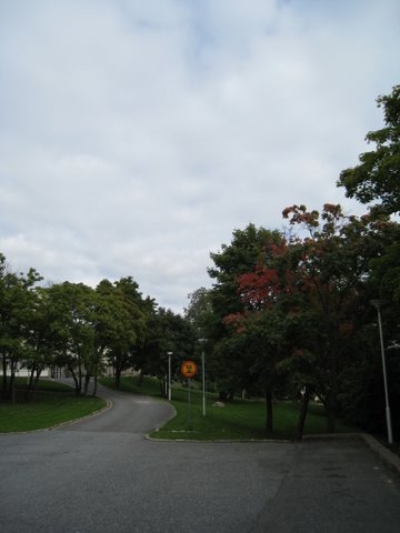 [IMG_0006-788066.JPG]