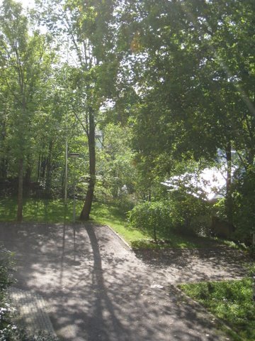 [IMG_0029-724156.JPG]