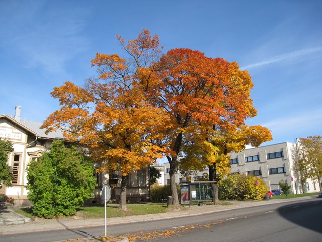 [IMG_0081-773464.JPG]