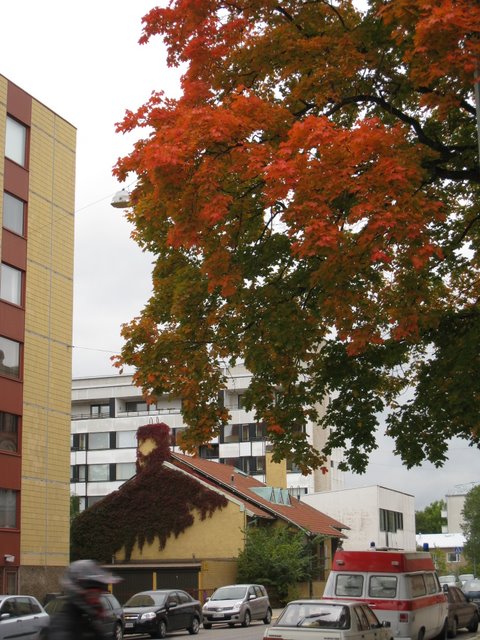 [IMG_0007-757198.JPG]