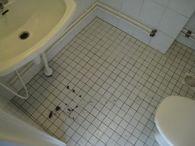 [IMG_0014-750118.JPG]