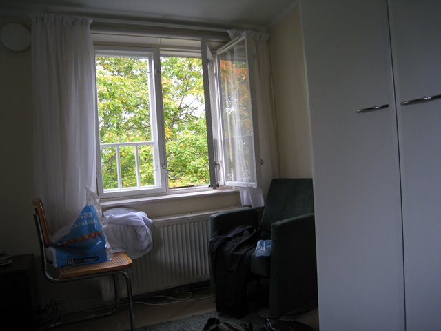 [IMG_0005-766910.JPG]