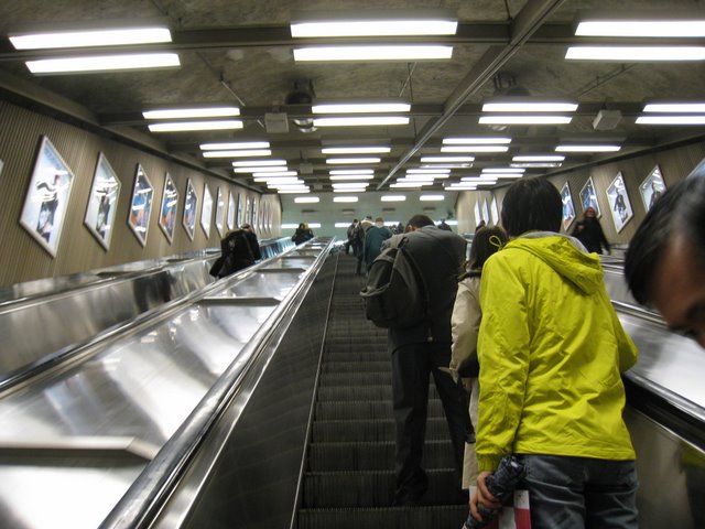[IMG_0109-797027.JPG]