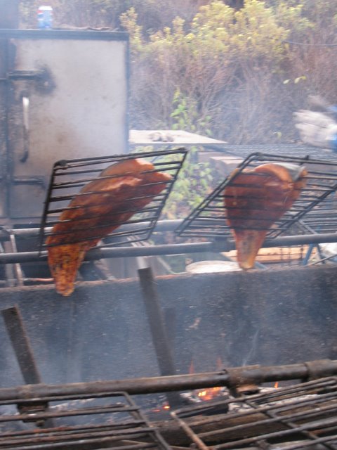 [IMG_0051-750135.JPG]