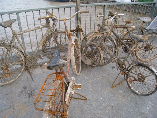 [IMG_0037-795927.JPG]