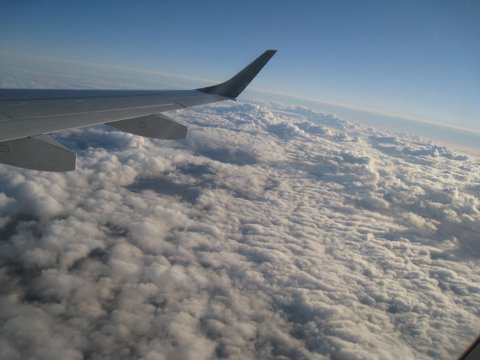 [IMG_0961-703654.JPG]