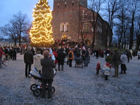 [IMG_1038-702864.JPG]