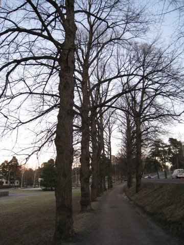[IMG_1072-739948.JPG]