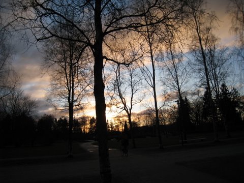[IMG_1053-700214.JPG]