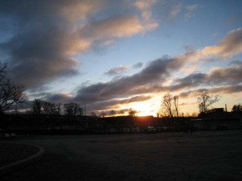 [IMG_1054-701663.JPG]