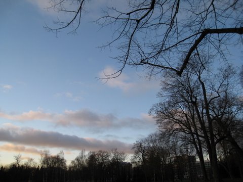[IMG_1055-702397.JPG]