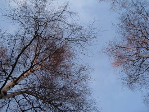 [IMG_1060-711015.JPG]
