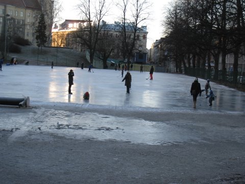 [IMG_1133-750898.JPG]