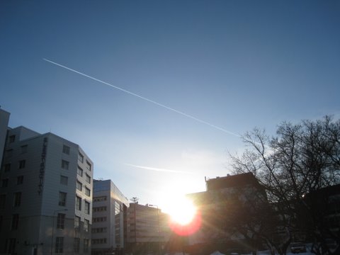 [IMG_1185-753013.JPG]