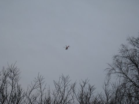[IMG_1329-737468.JPG]