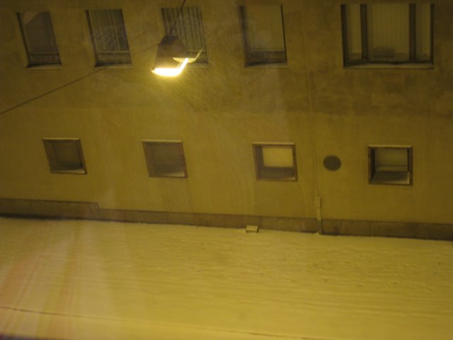 [IMG_1369-725040.JPG]