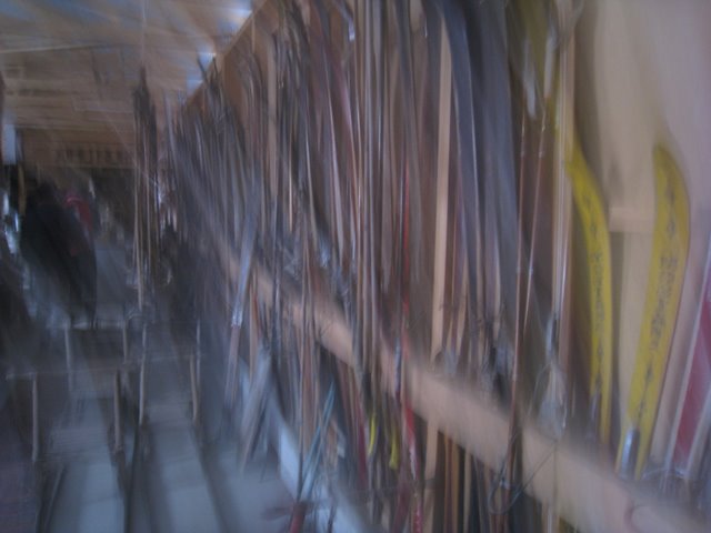 [IMG_1448-789973.JPG]