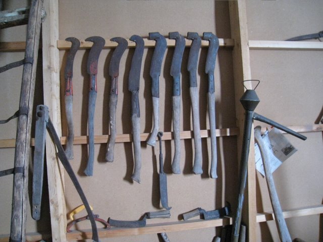 [IMG_1456-710903.JPG]