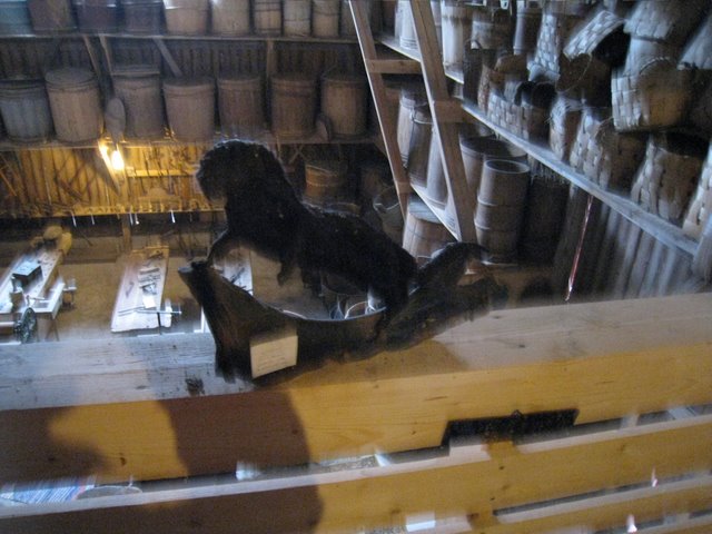 [IMG_1484-712062.JPG]