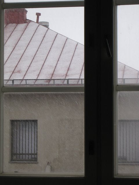 [IMG_1542-798773.JPG]
