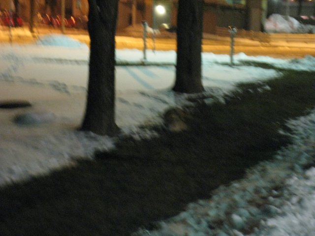 [IMG_1534-738825.JPG]