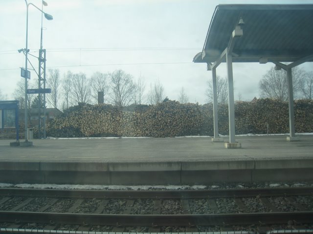 [IMG_1587-701366.JPG]