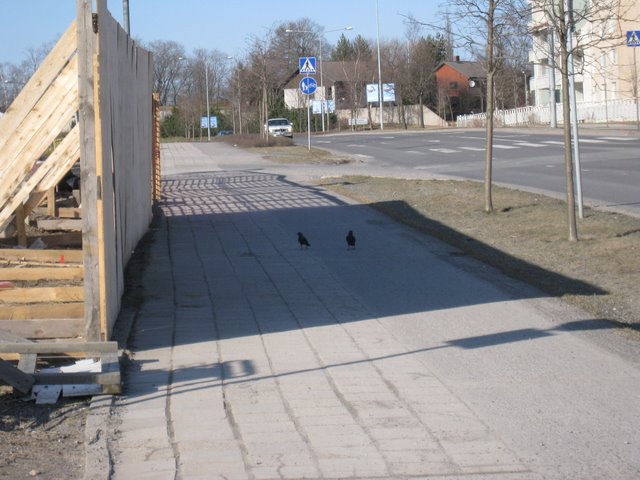 [IMG_1661-735712.JPG]