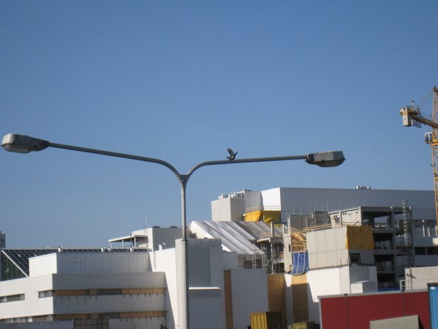 [IMG_1660-734803.JPG]