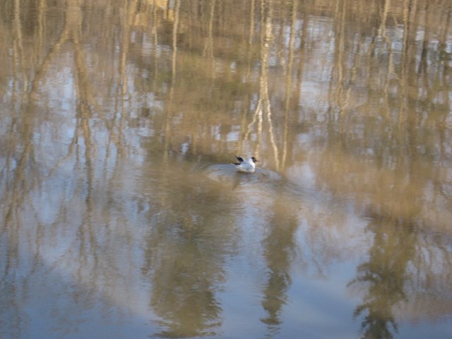 [IMG_1680-768440.JPG]