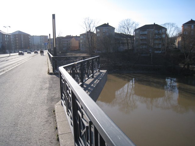 [IMG_1669-725367.JPG]