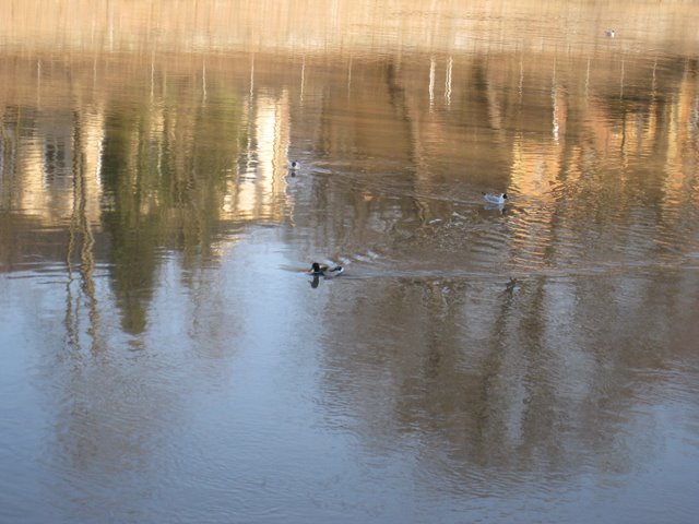 [IMG_1691-711123.JPG]
