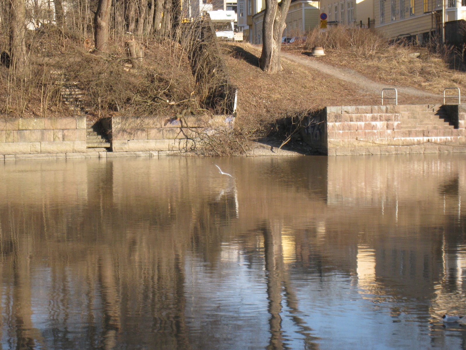 [IMG_1686-769381.JPG]