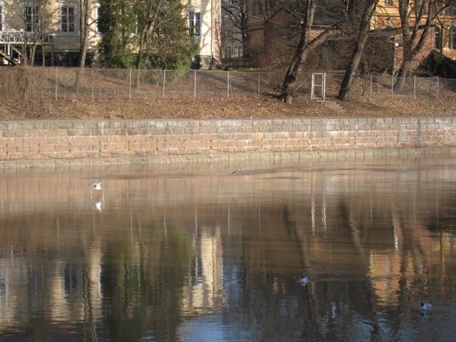 [IMG_1696-737506.JPG]