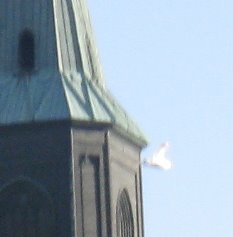 [IMG_1685-716075.JPG]