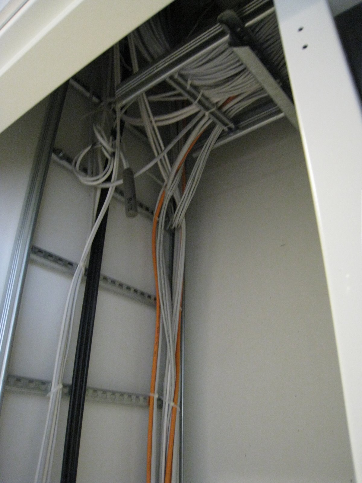 [IMG_1867-774238.JPG]