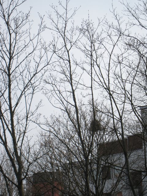 [IMG_1886-764216.JPG]