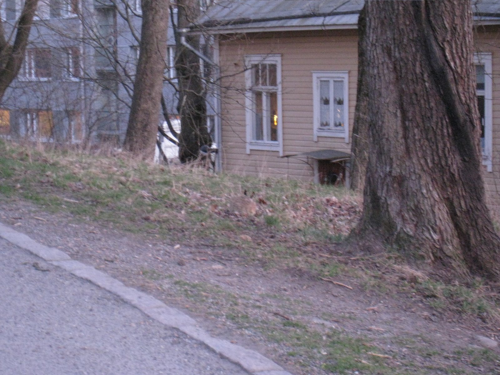 [IMG_1939-717611.JPG]