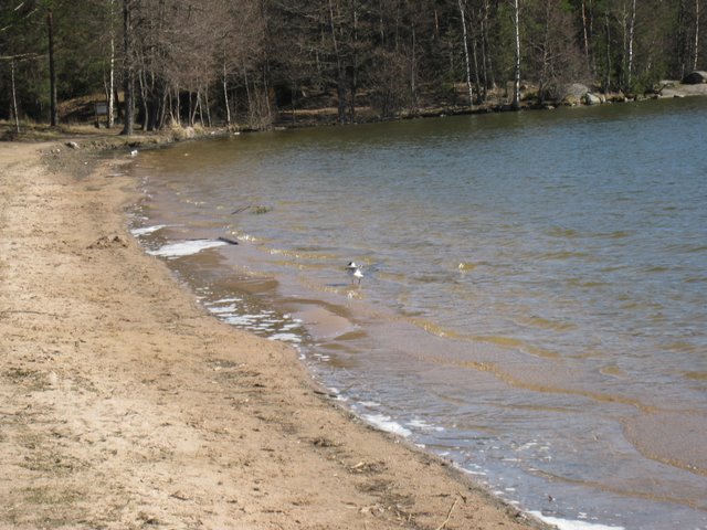 [IMG_1958-742739.JPG]