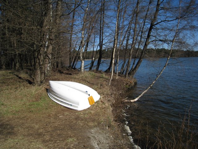 [IMG_1980-752146.JPG]