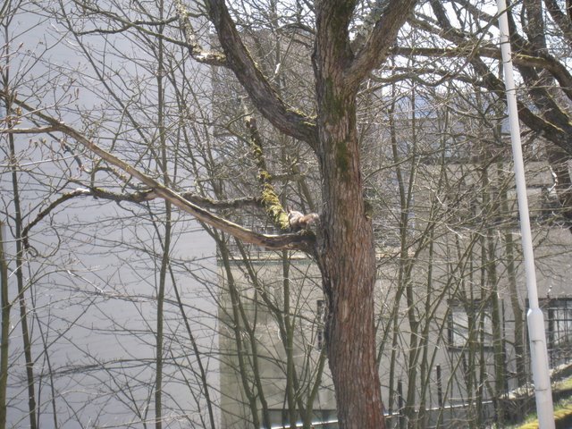 [IMG_2013-770892.JPG]