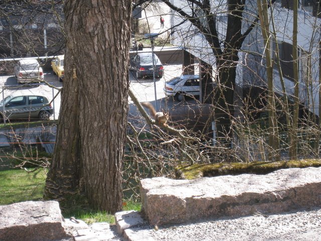 [IMG_2011-769956.JPG]