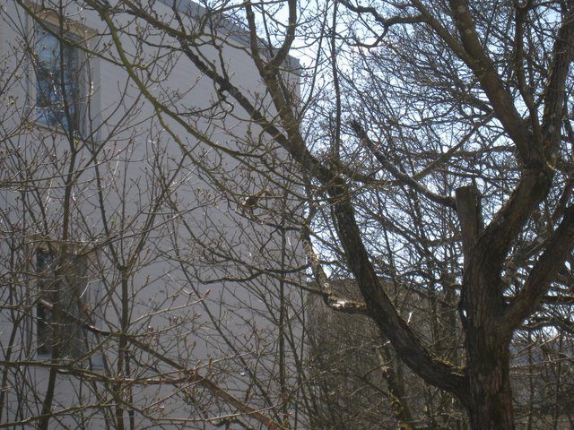 [IMG_2014-772307.JPG]