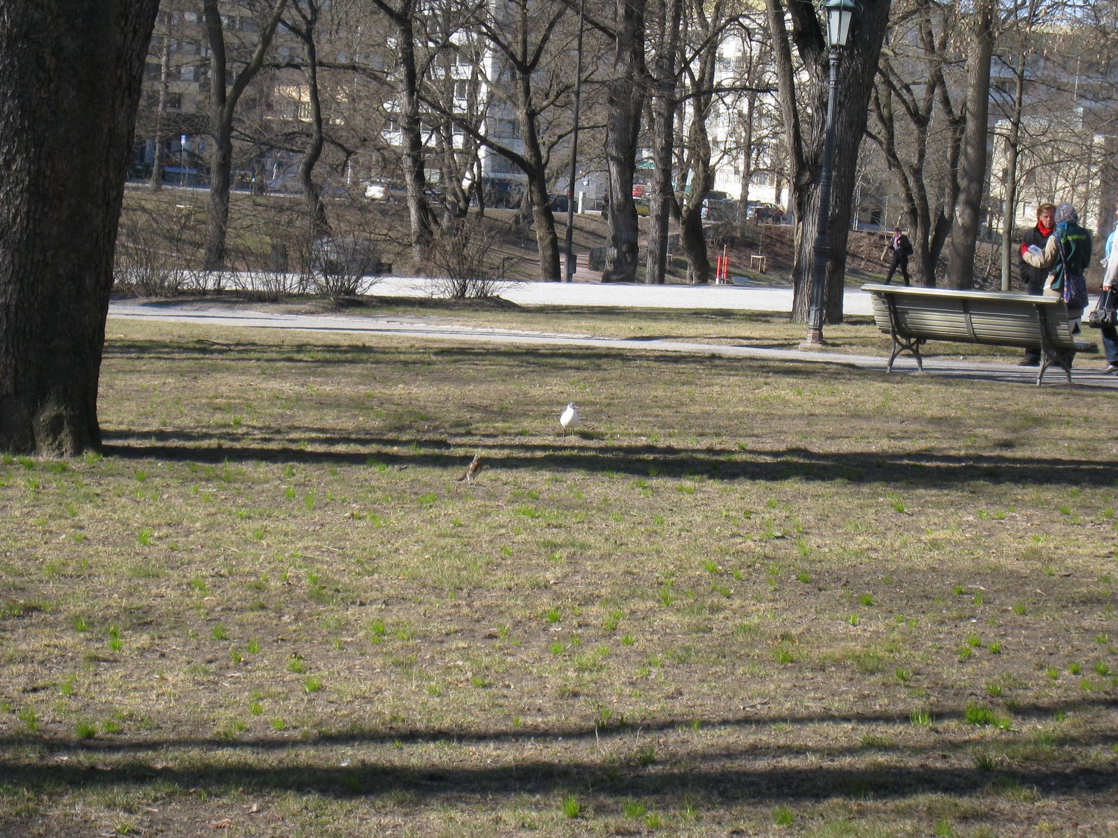 [IMG_1821-715931.JPG]